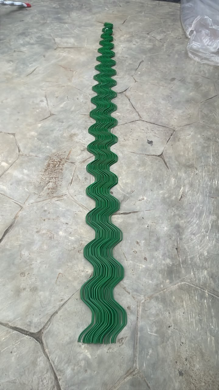 Spring Wire 1