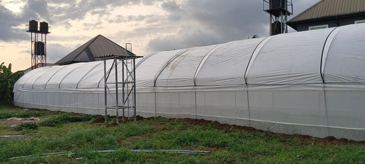 Greenhouse Construction